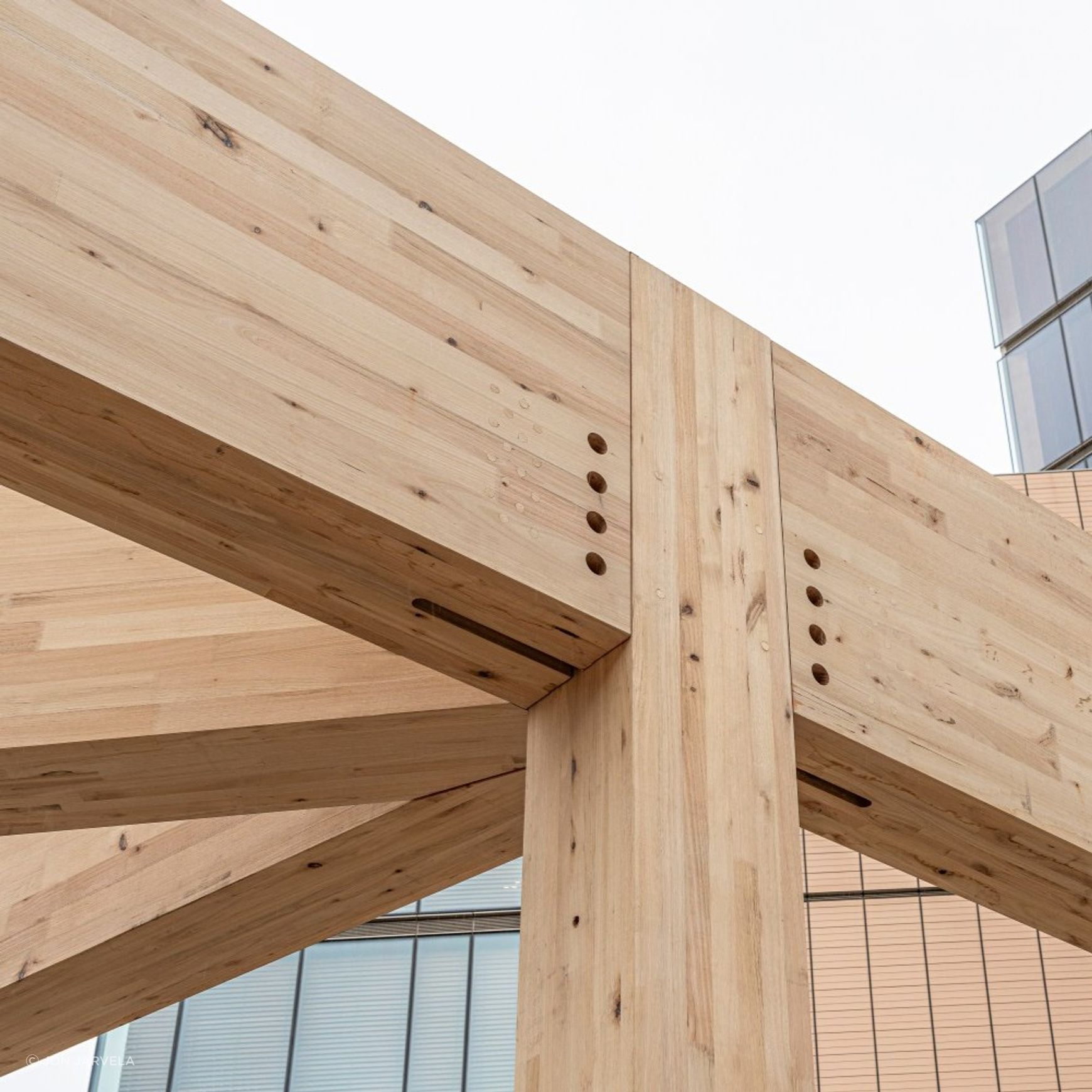 Plantation Oak Timber