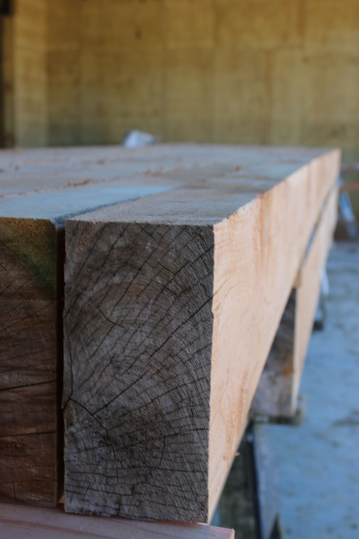 Timber Beams