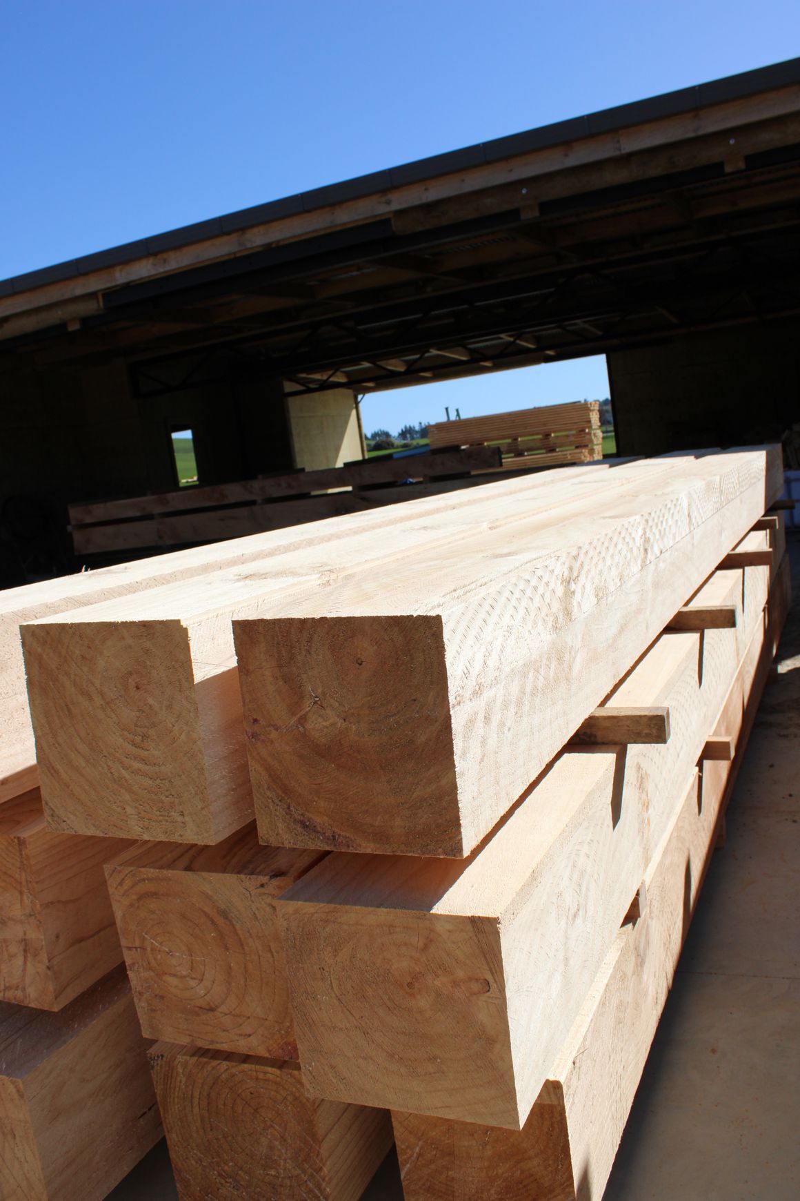 Timber Beams