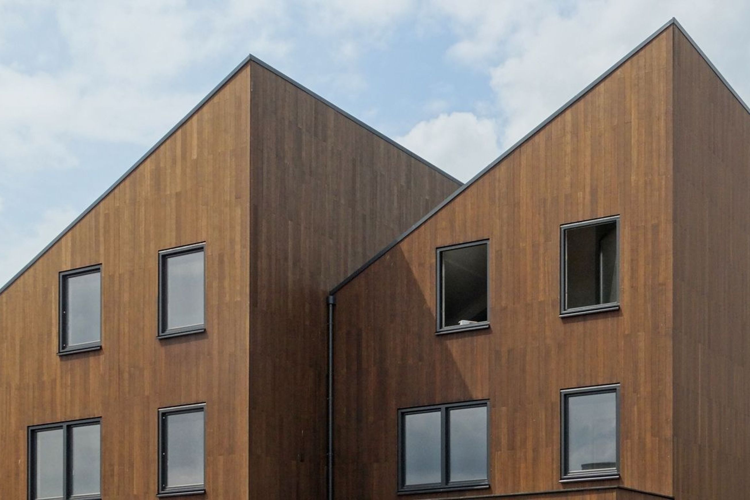 Bamboo X-treme Cladding