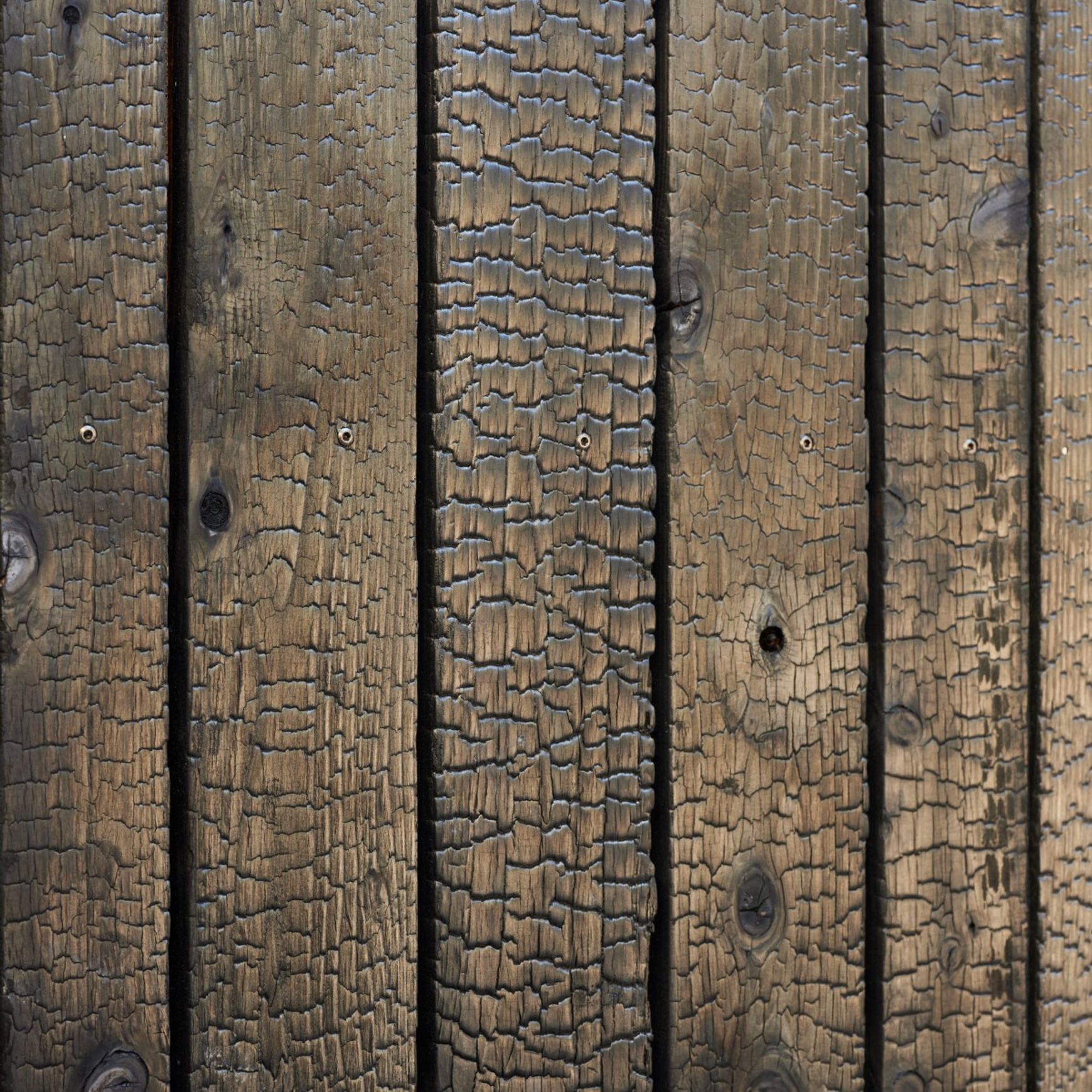 Japanese Cedar Exterior Cladding