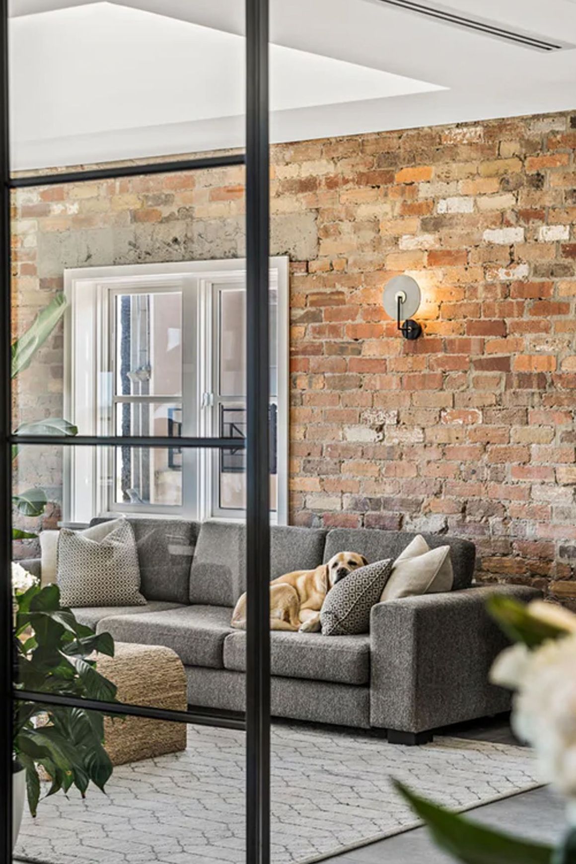 Steel Frame Glass Bifold Doors - Galvanised FPS50