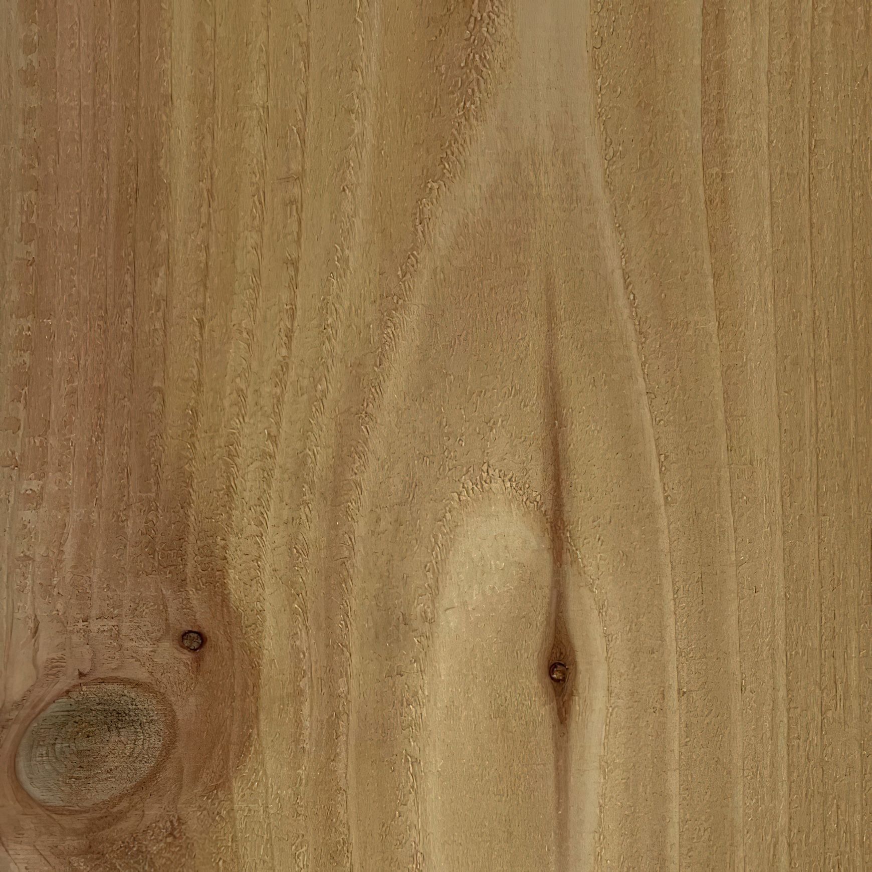 JSC Timber Species Range