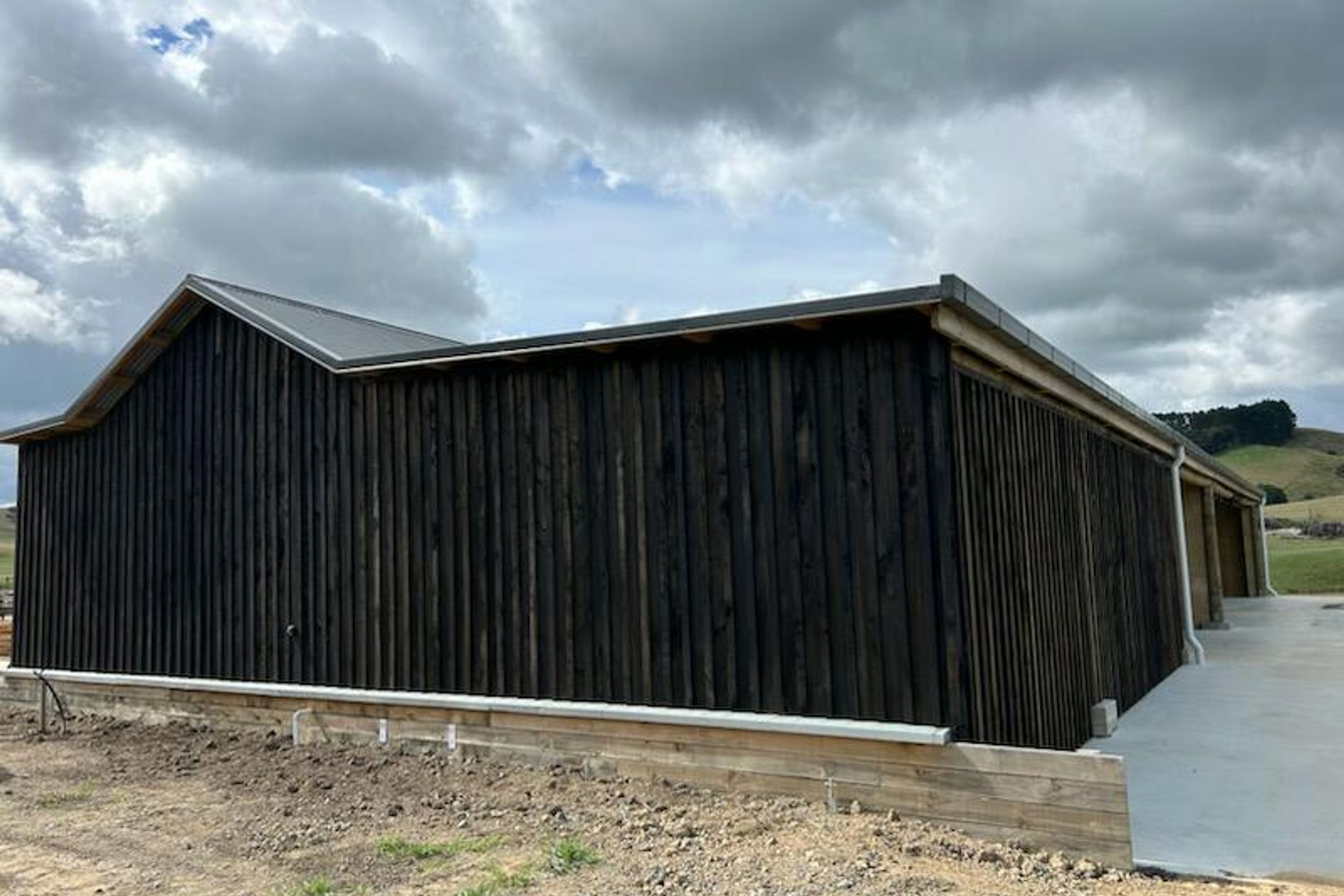 Macrocarpa Cladding