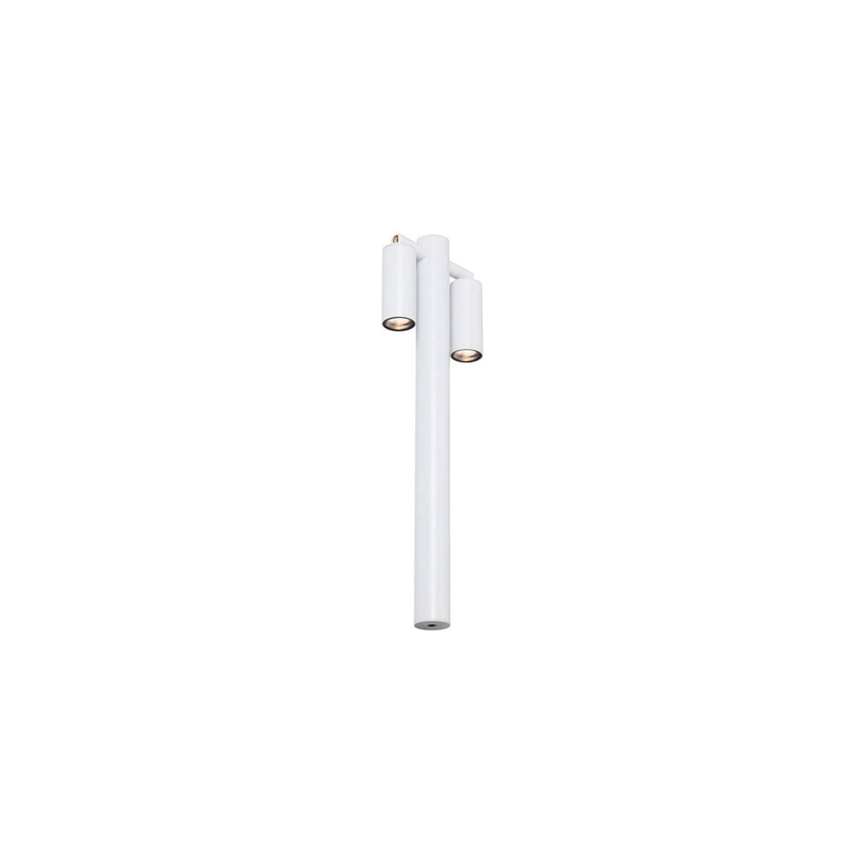 Firefly Bollard Double Spotlight