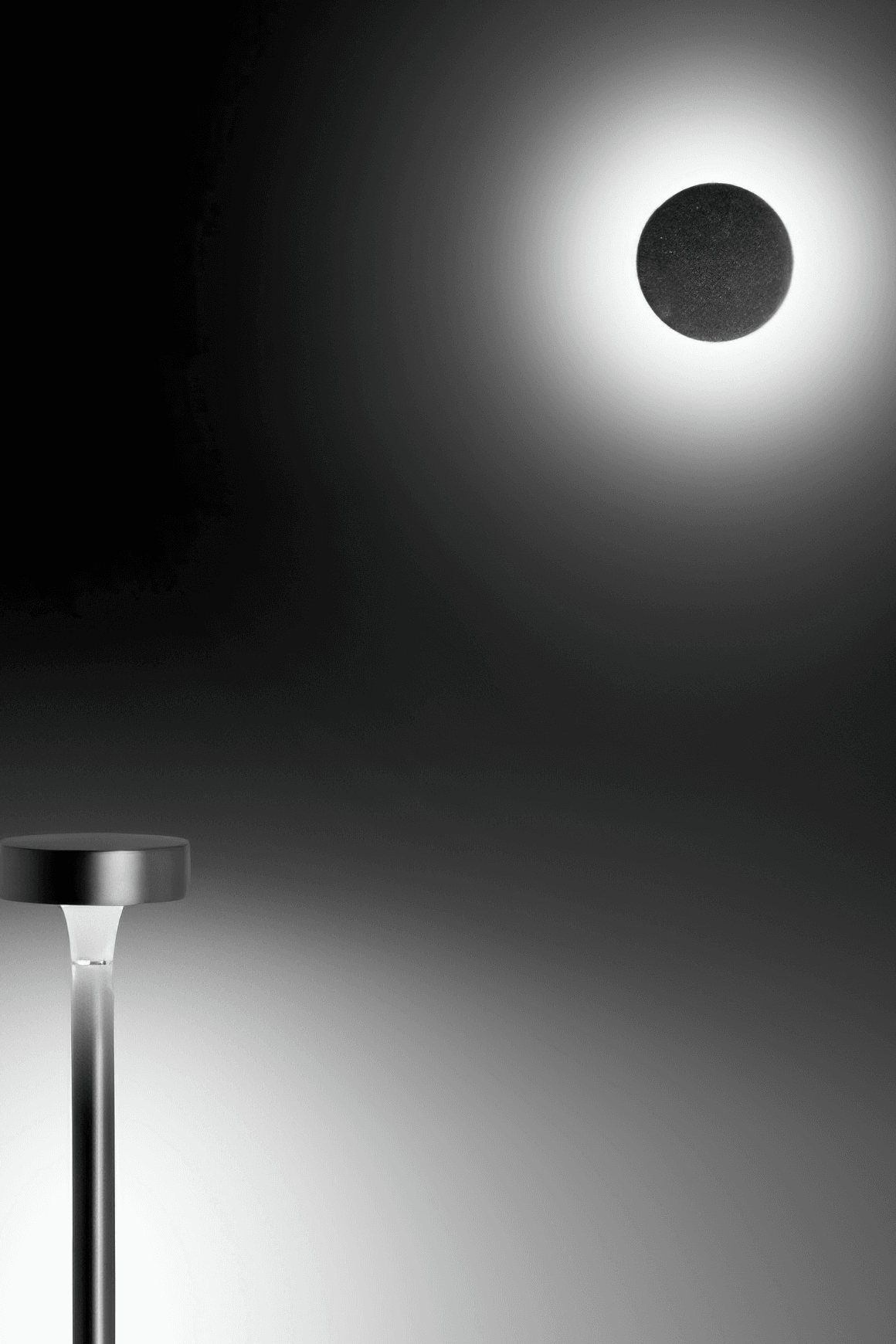 Très Jolie Wall Light and Bollard