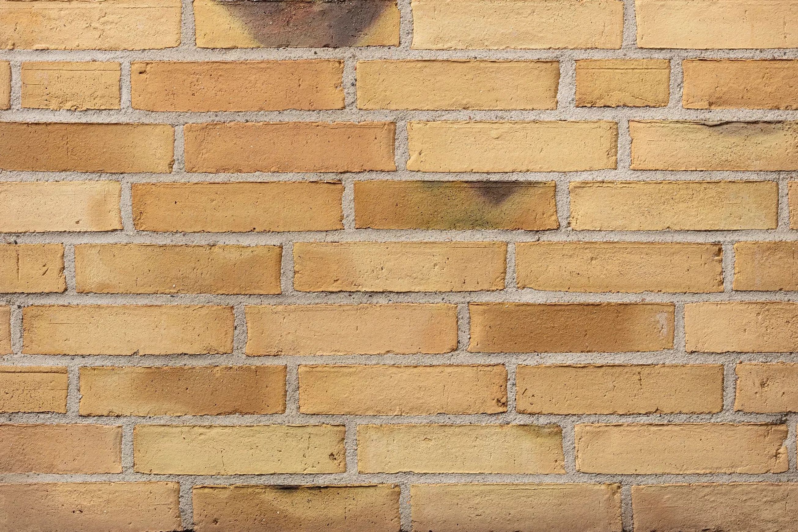 Petersen Danish Bricks