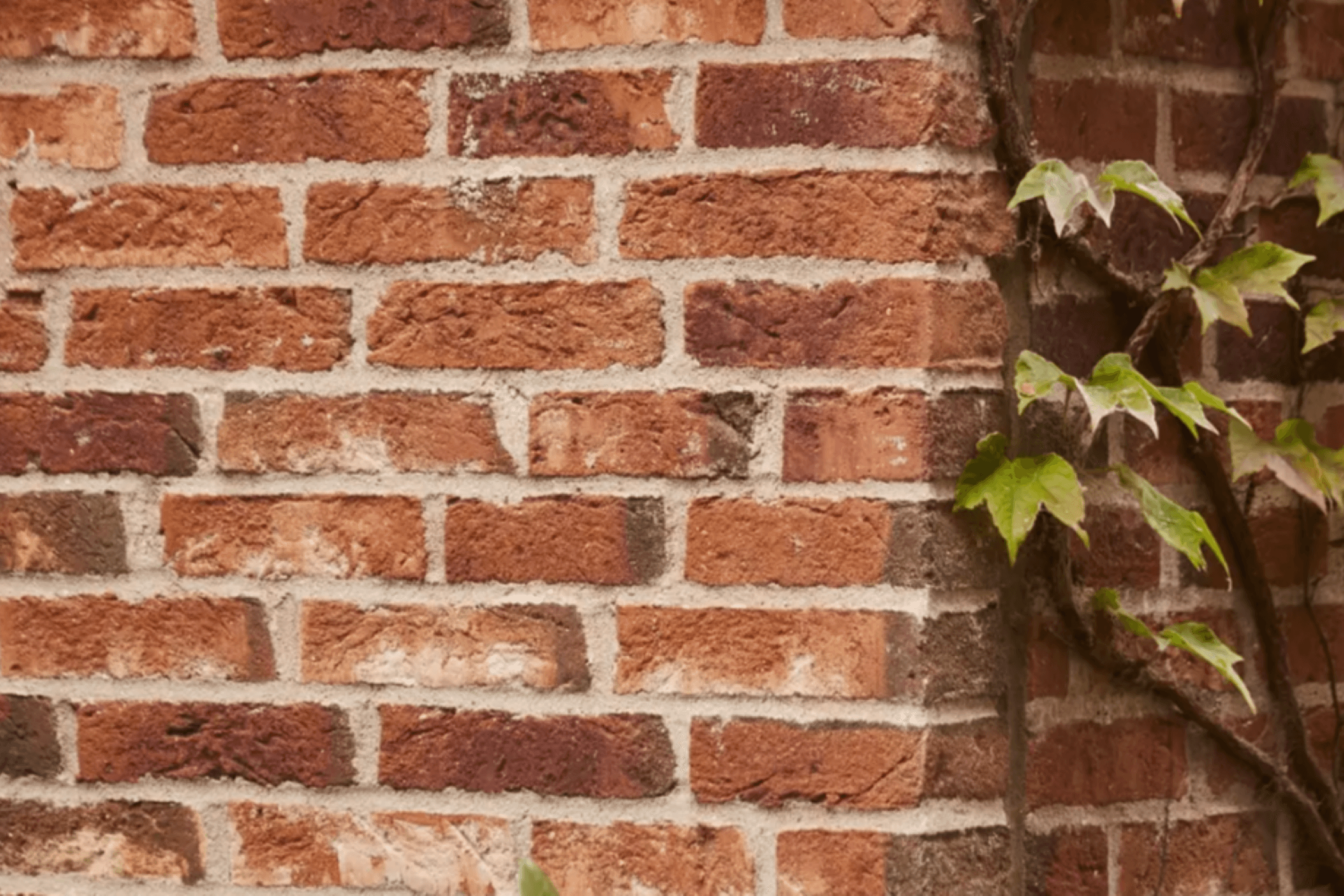 Red Shade | Bricks