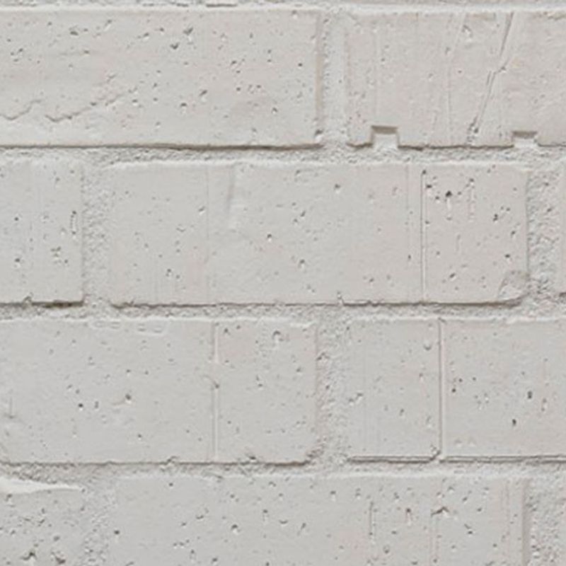 Wirecut Painter Brick