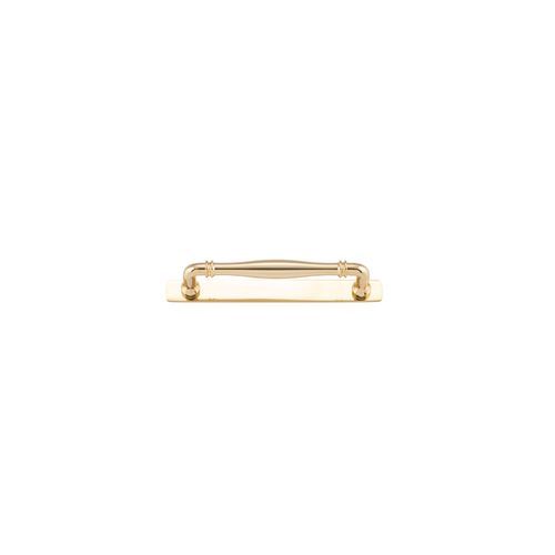 Sarlat Cabinet Pull with Backplate - CTC160mm