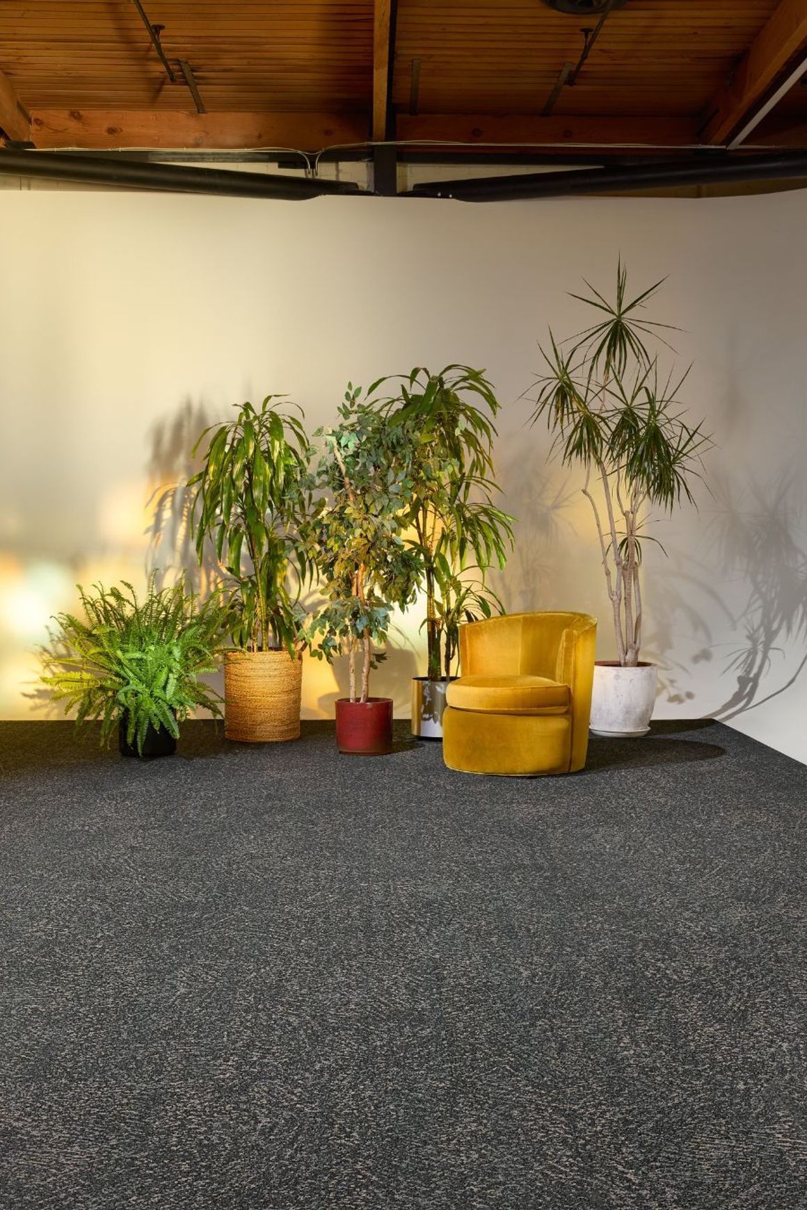 Light Catcher Carpet Collection by Bentley Mills