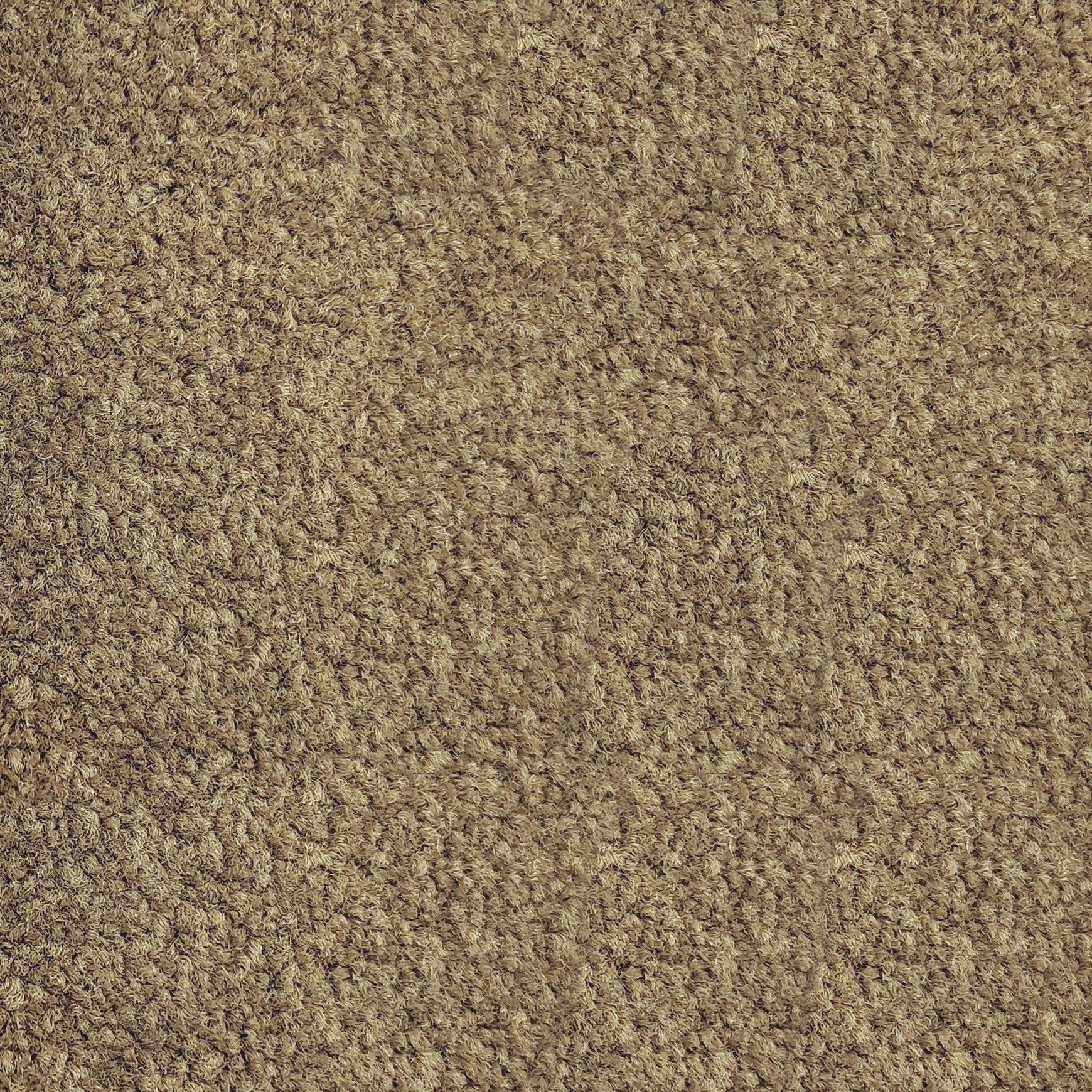 Parkview Gardens by Belgotex | Carpet
