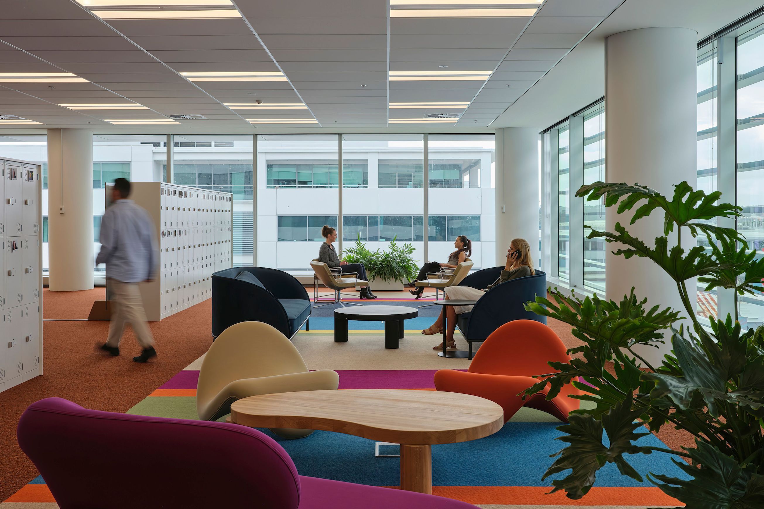 Custom Carpet Solutions