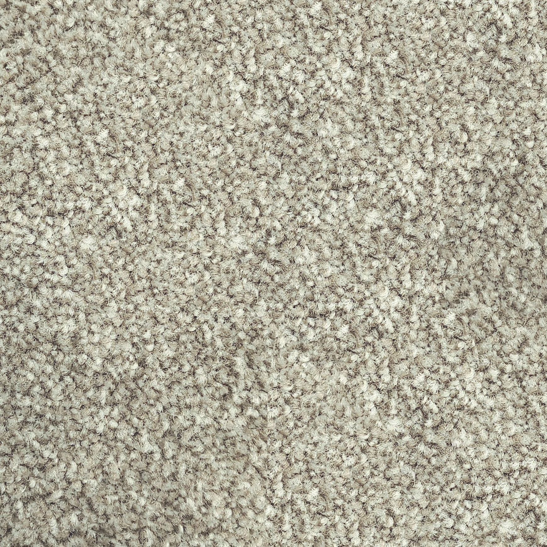 Parkview Gardens by Belgotex | Carpet