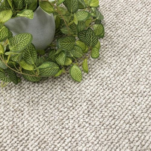 Genesis Loop Pile Textured Carpet