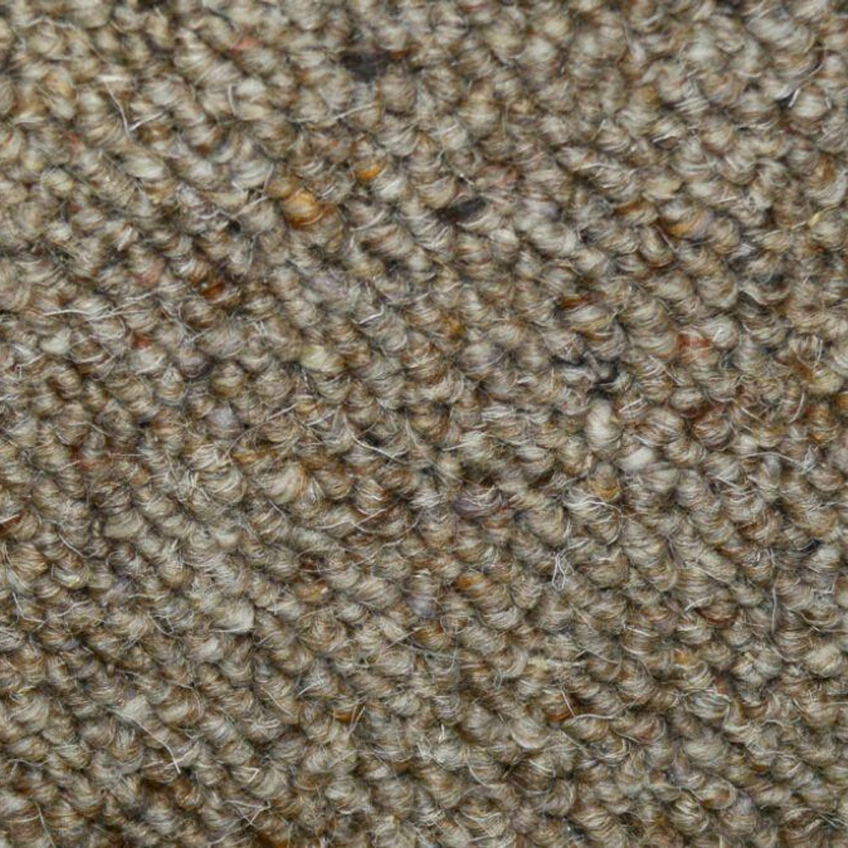 Ecodure Wool Carpet | Soft Flooring