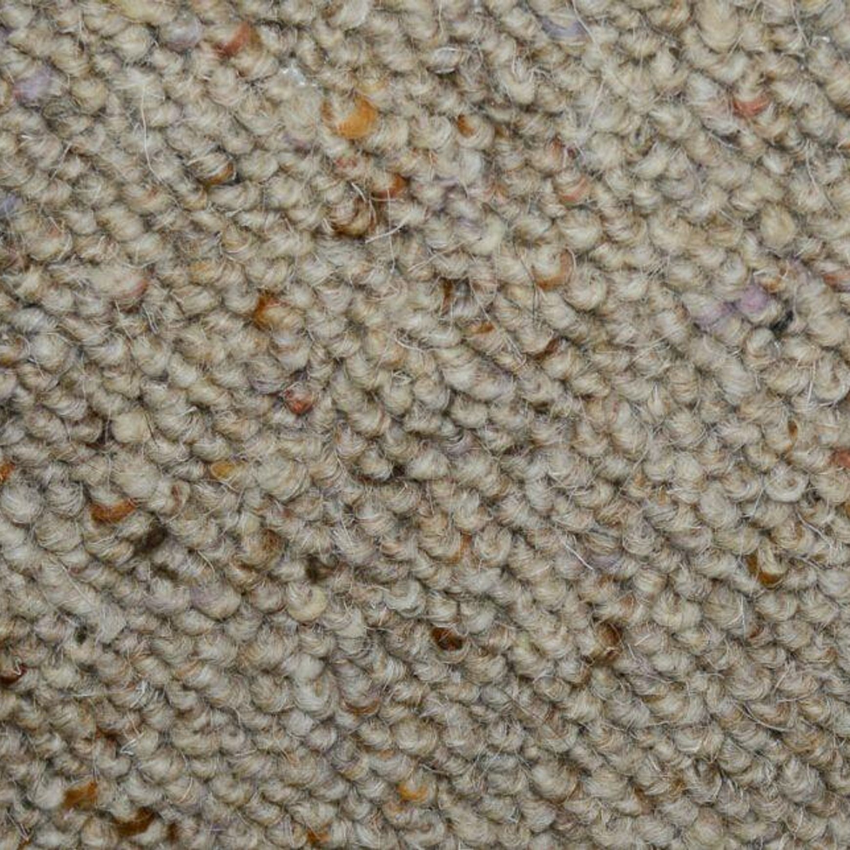 Ecodure Wool Carpet | Soft Flooring
