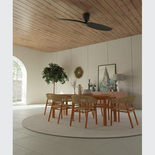 AE2+ 2-Blade Designer Indoor Ceiling Fan