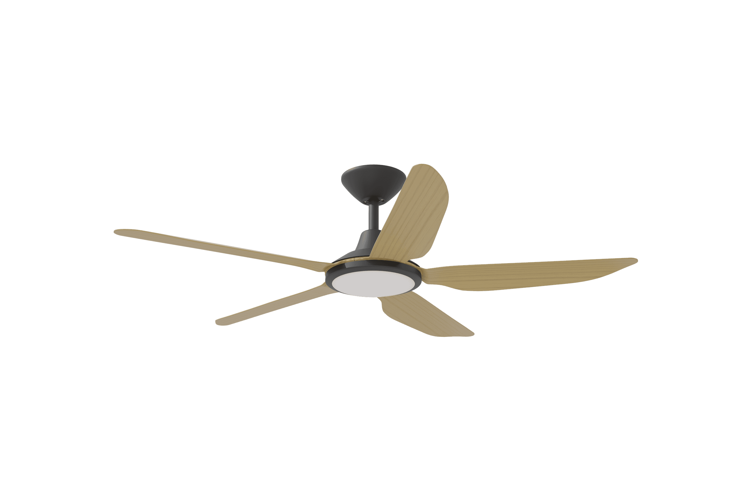 Storm 5-Blade Indoor/Outdoor Ceiling Fan