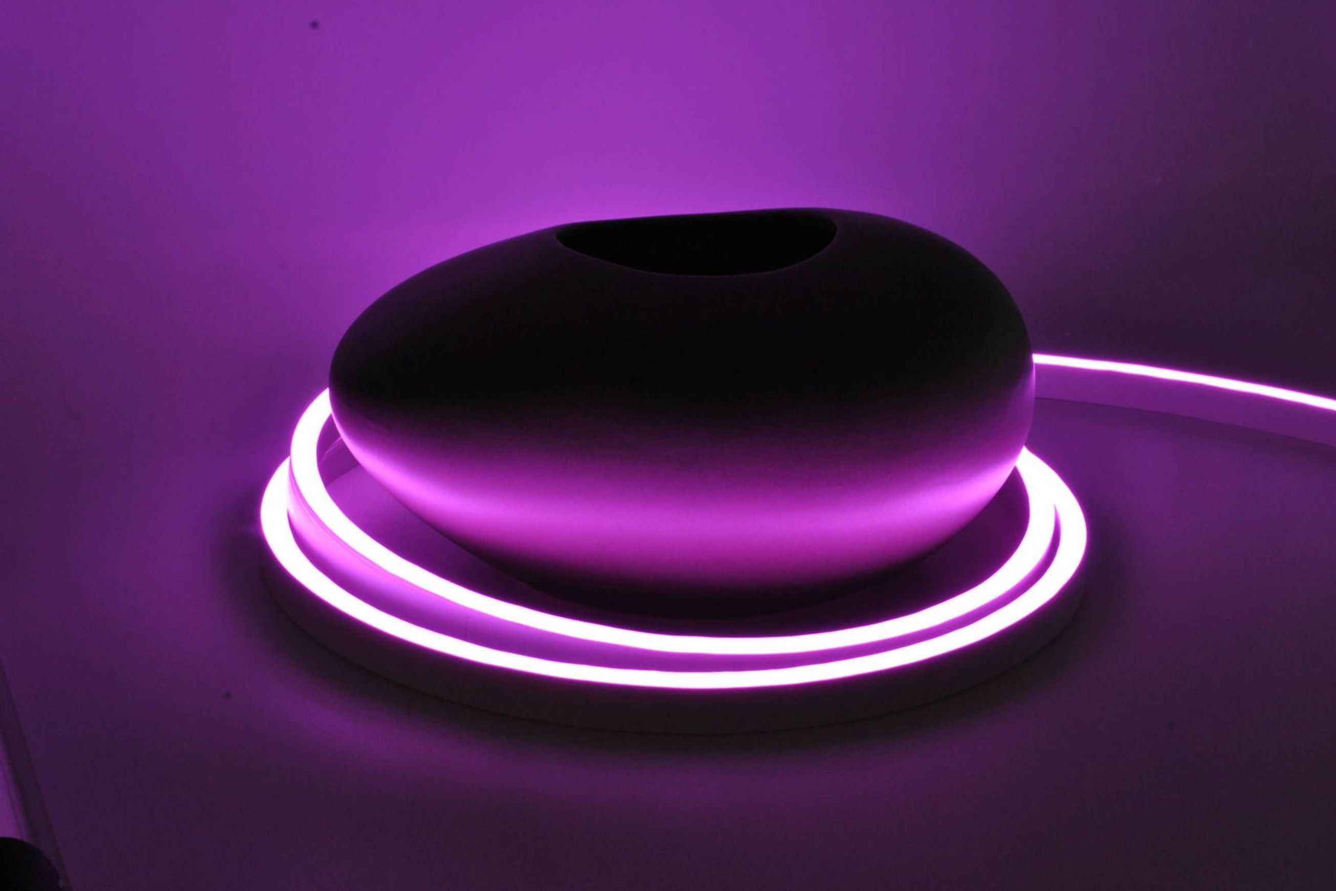 Python Snake Light