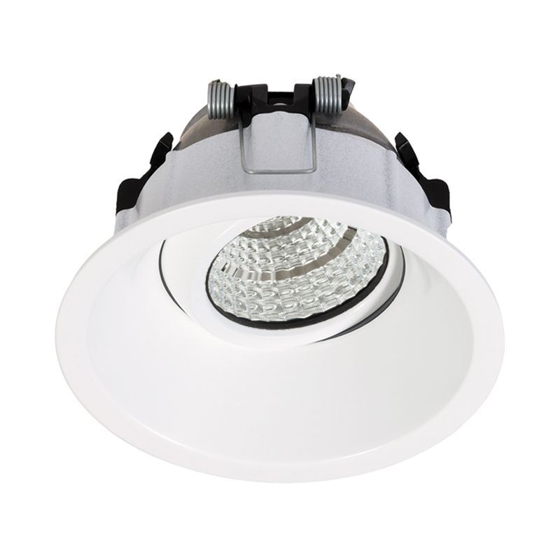 D-LIGHTZ Deep Tilt  Downlight