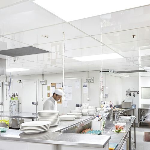 Fenta Hygiene Ceiling Tile