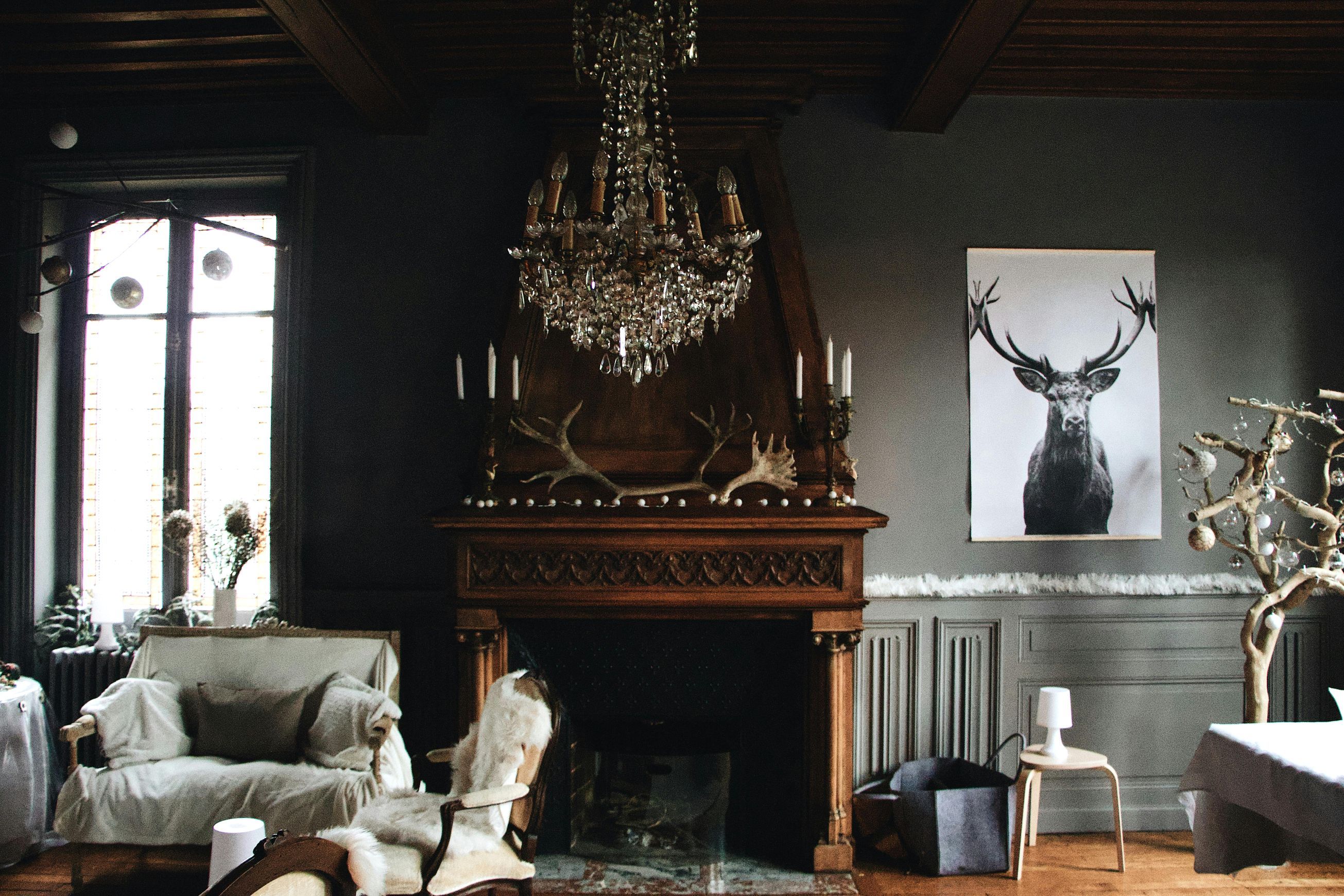 Fancy Chandelier