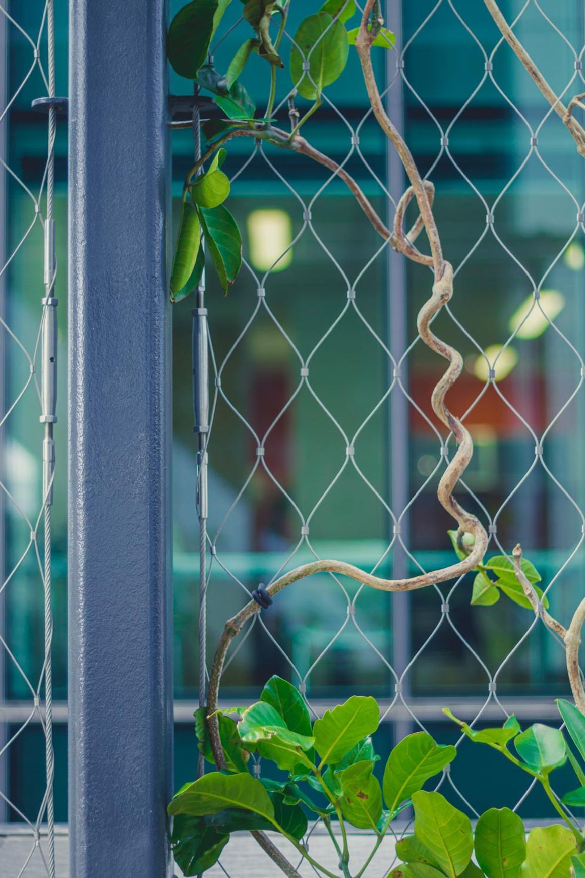 SRS Green Facades | Screens