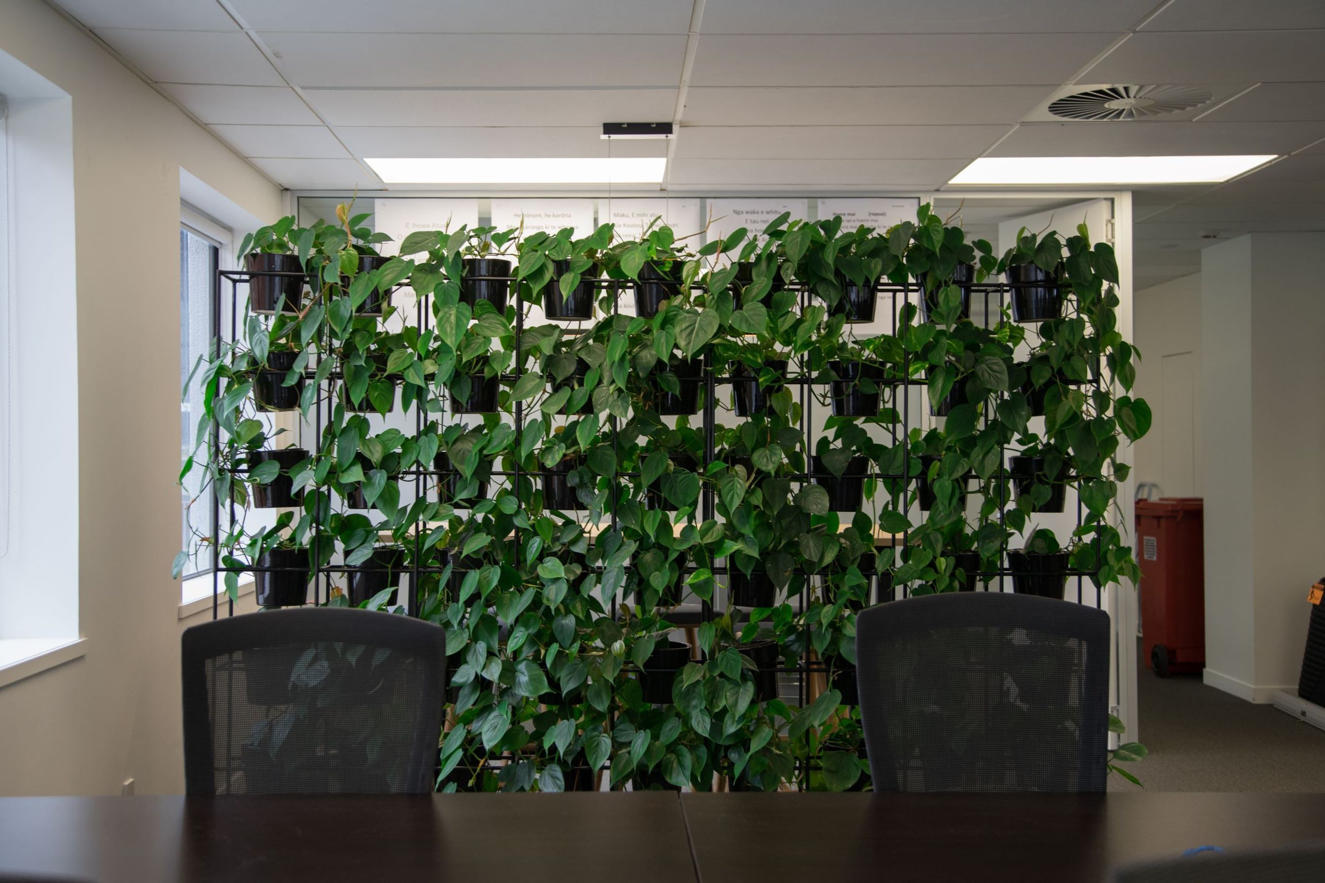 Vertical Live Plant Installations | Hire Plants