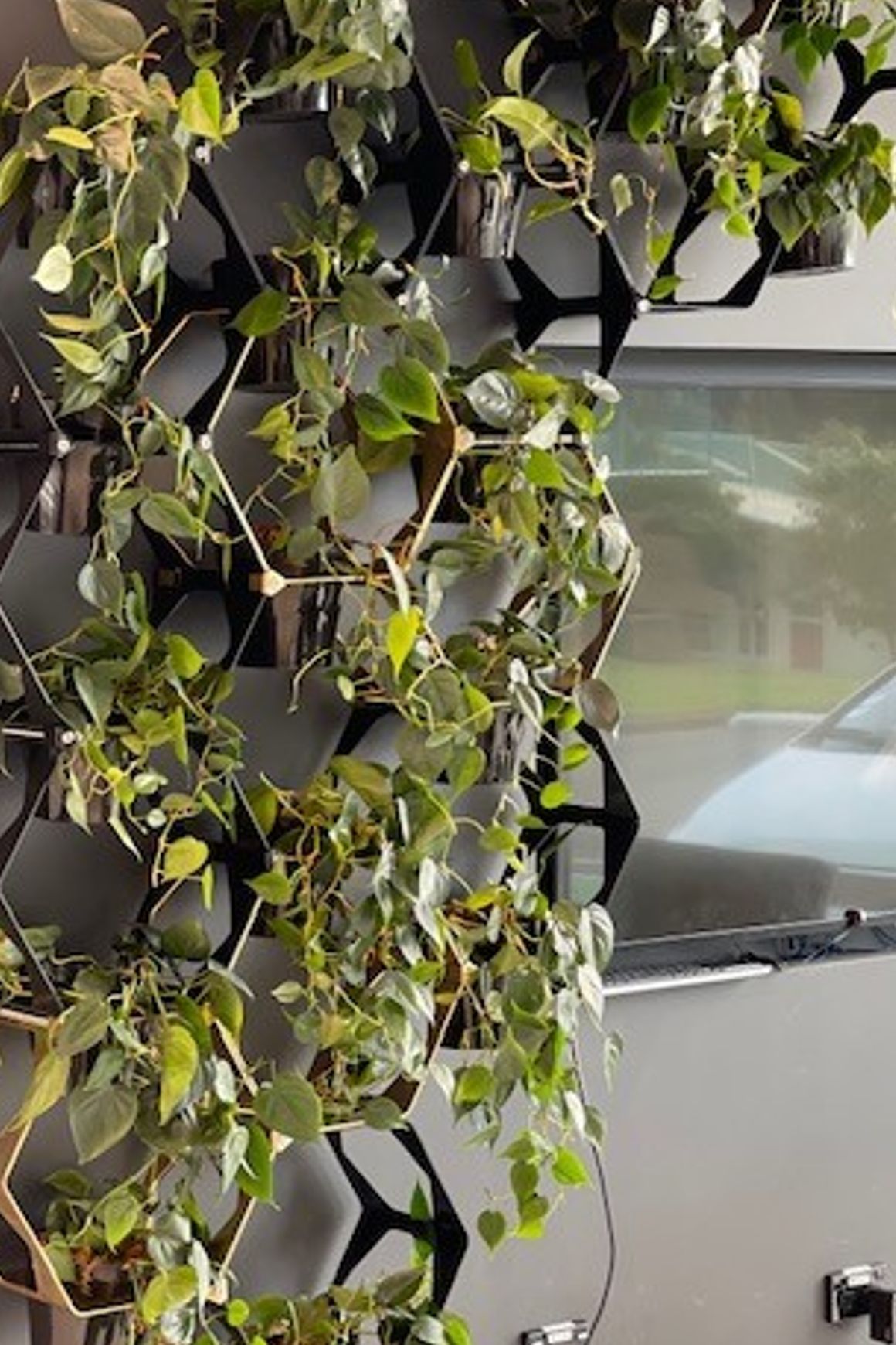 Vertical Live Plant Installations | Hire Plants