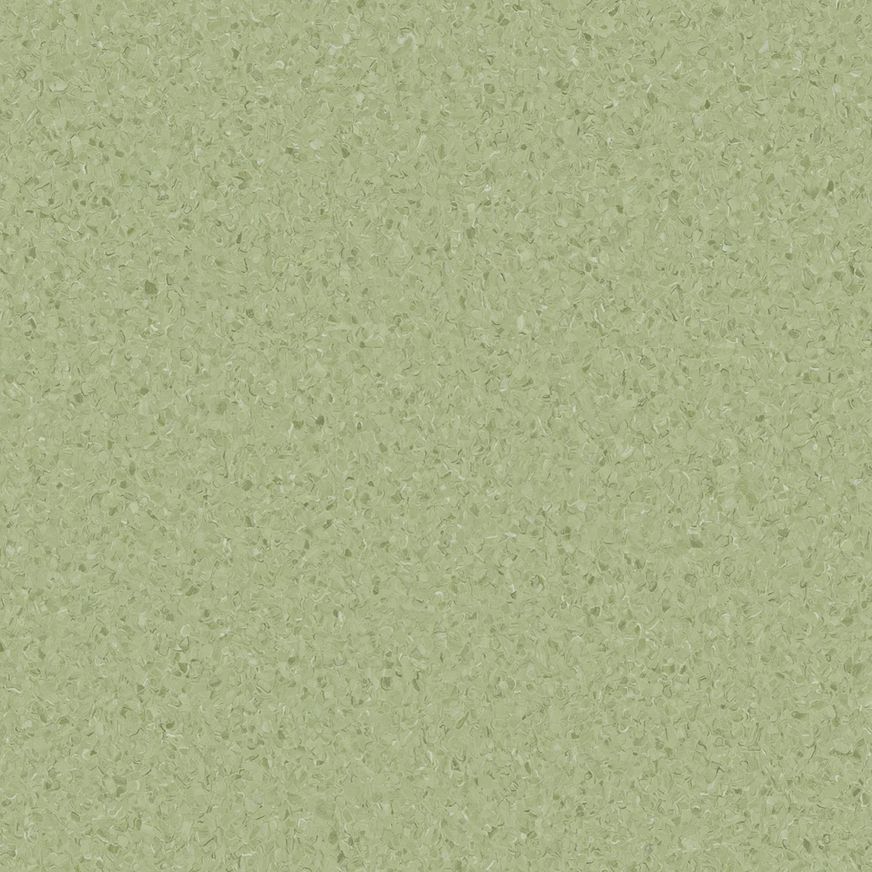 Accolade Plus | Casaurina
