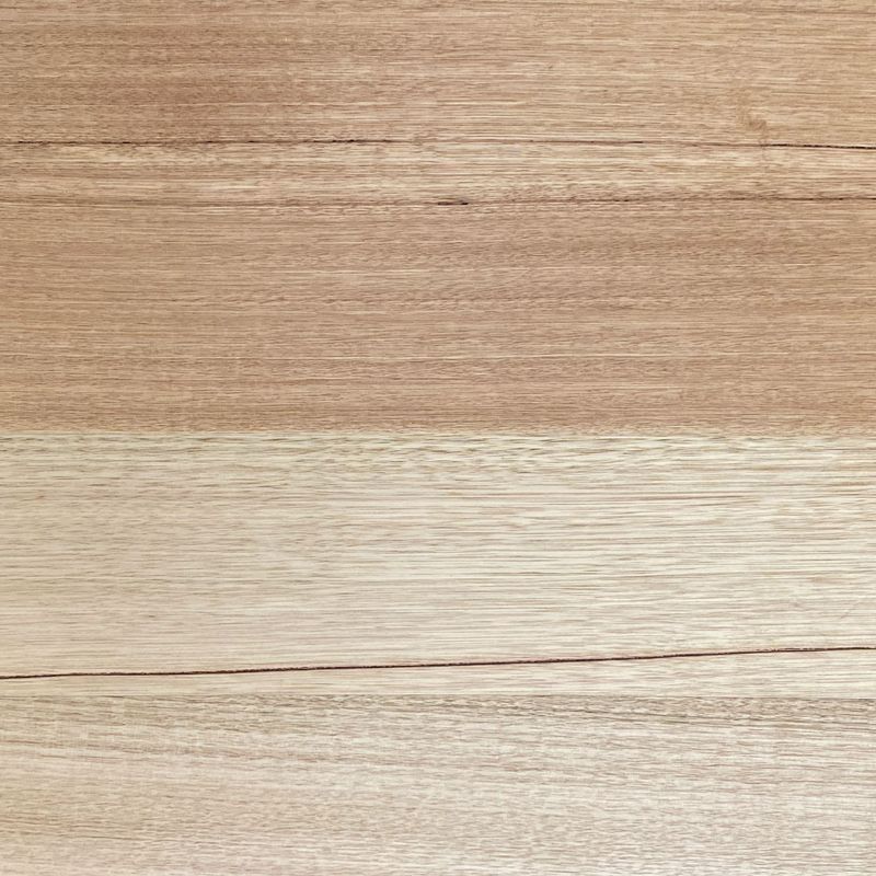 EP142 Tasmanian Oak