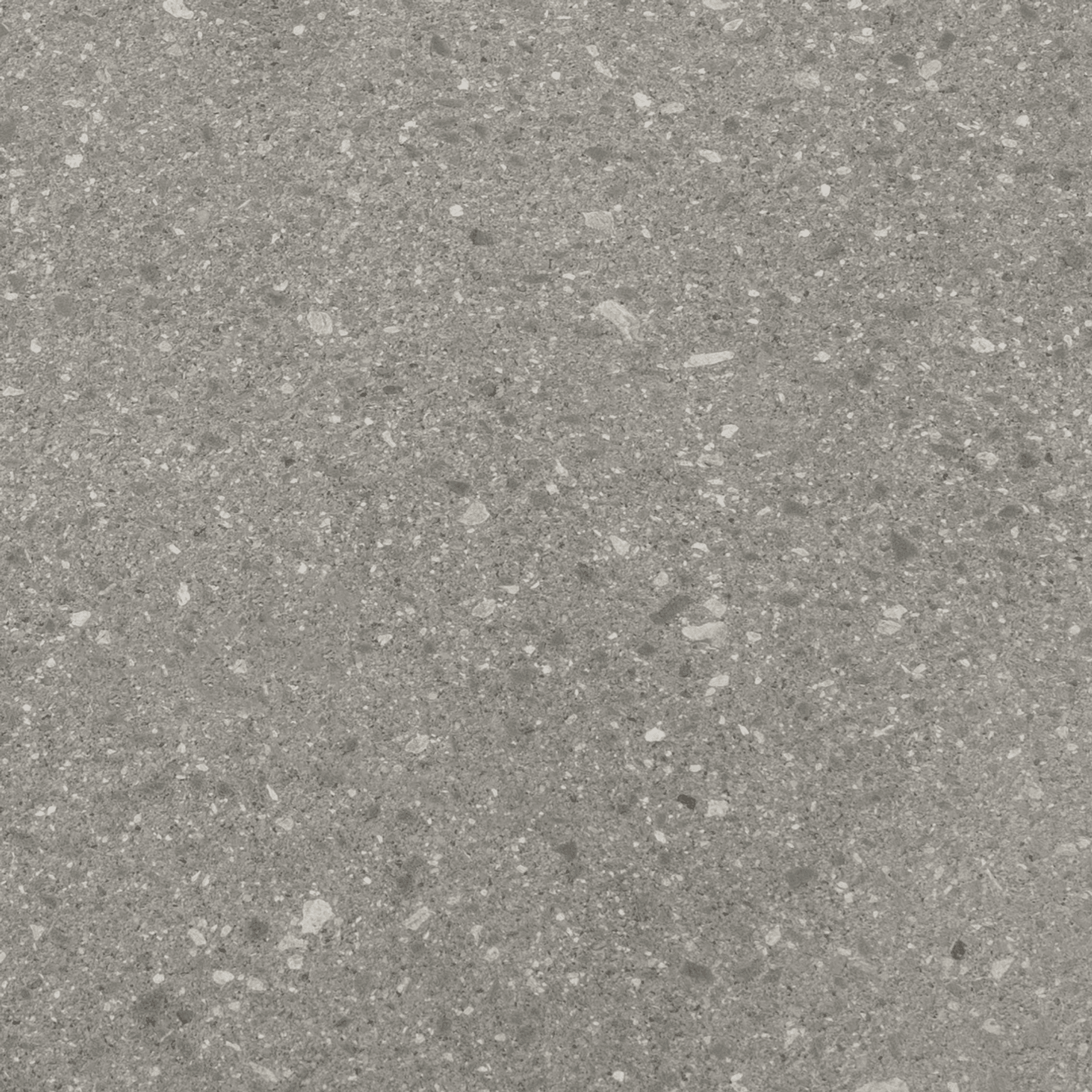 Forum Paver