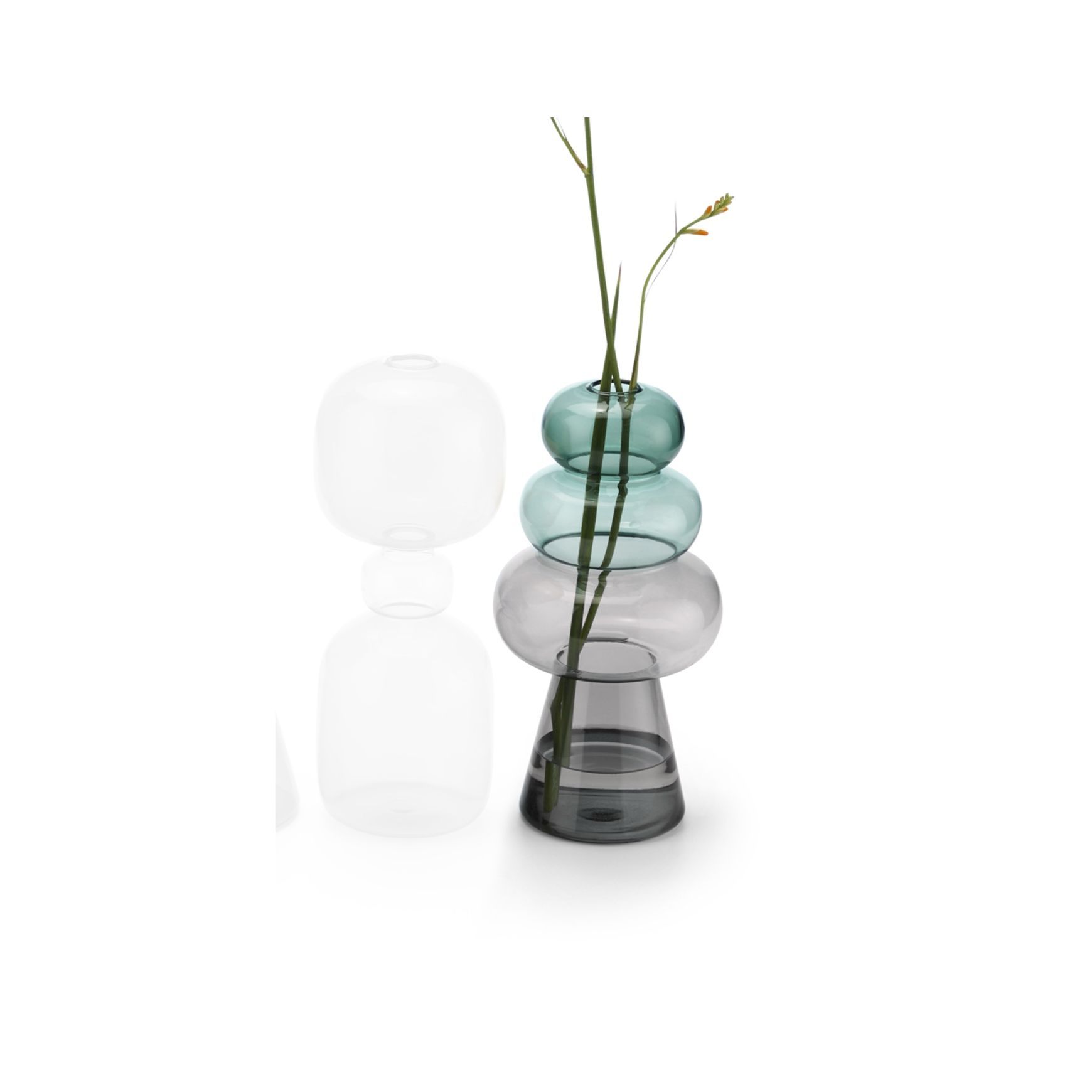 Curiosa Vases