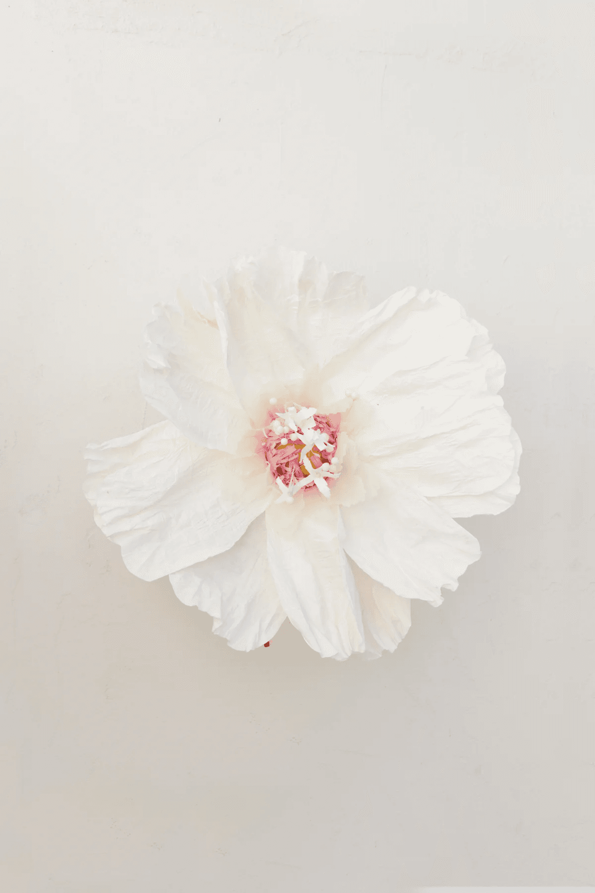 Two Toned Crepe Paper Flower