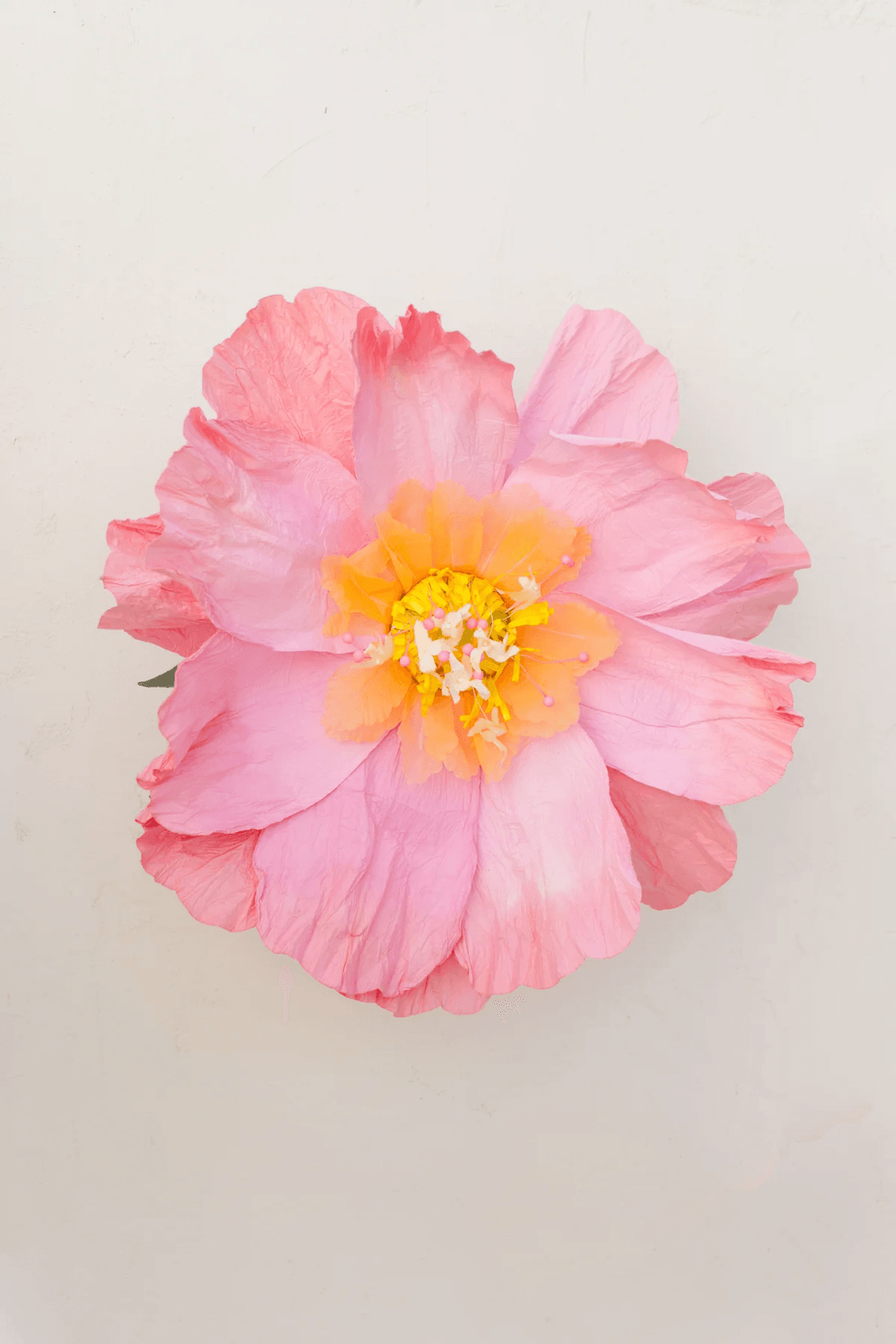 Two Toned Crepe Paper Flower