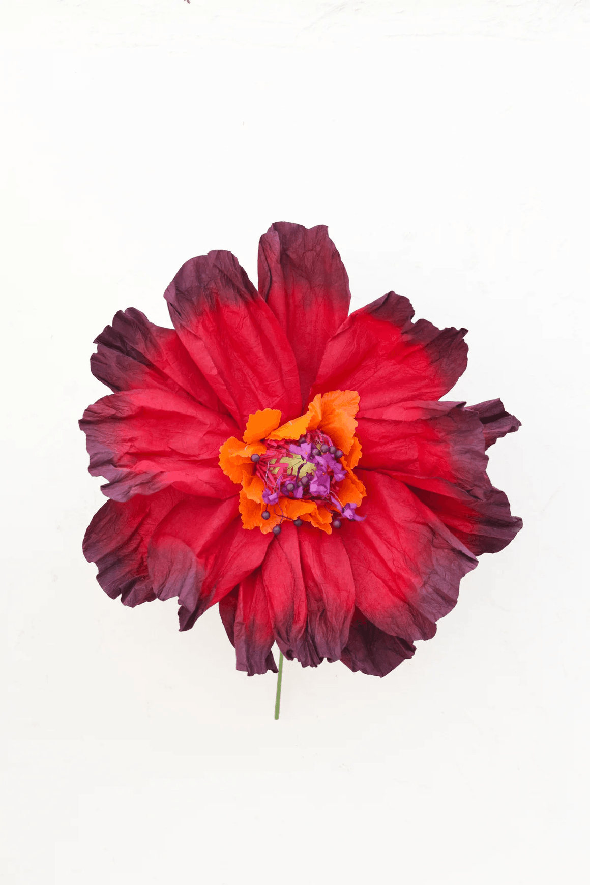 Two Toned Crepe Paper Flower