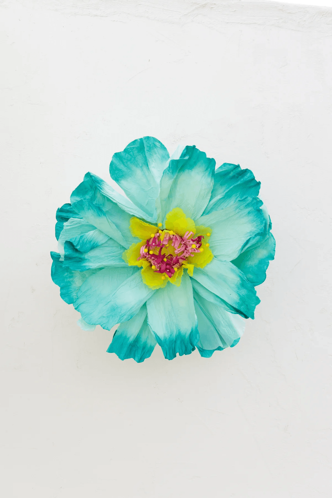 Two Toned Crepe Paper Flower