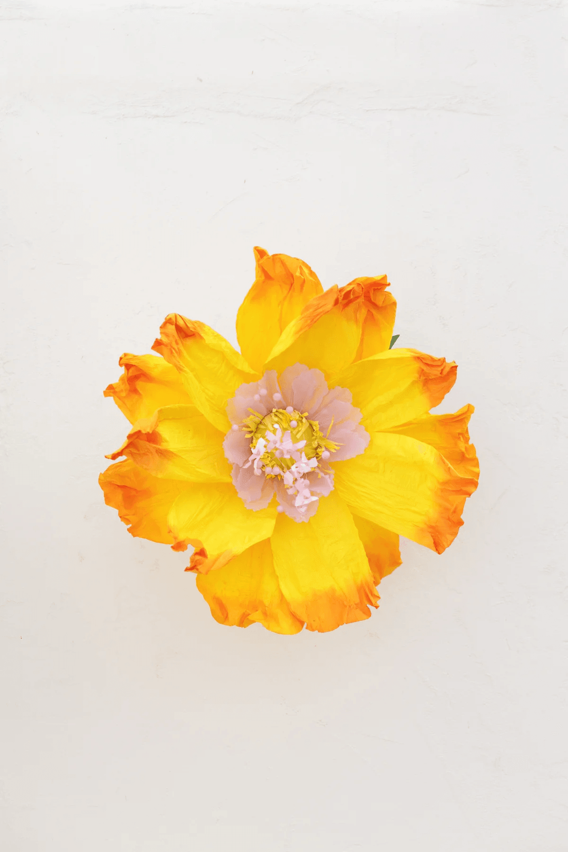 Two Toned Crepe Paper Flower