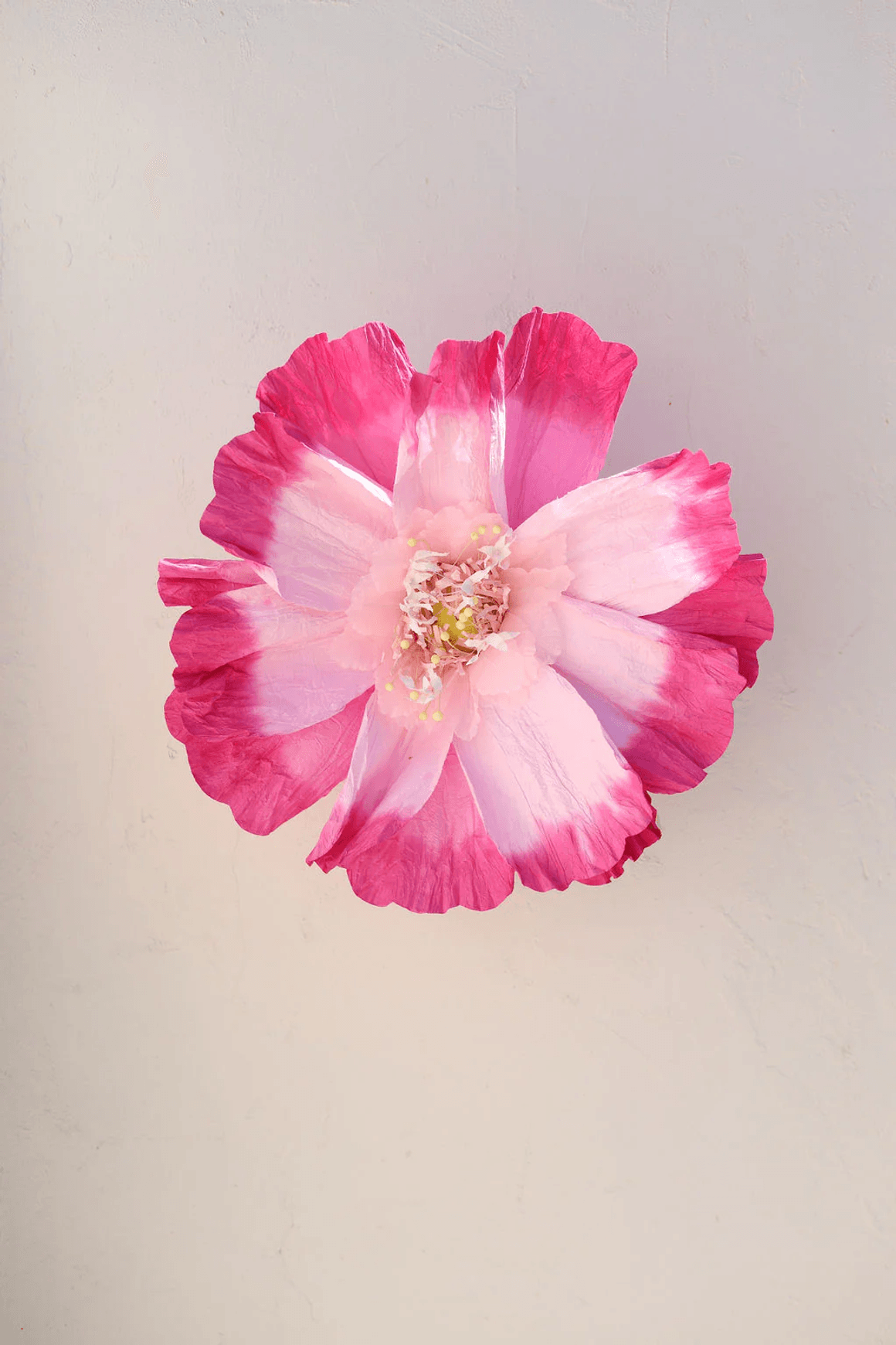 Two Toned Crepe Paper Flower