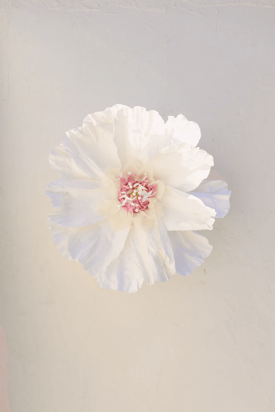 Two Toned Crepe Paper Flower