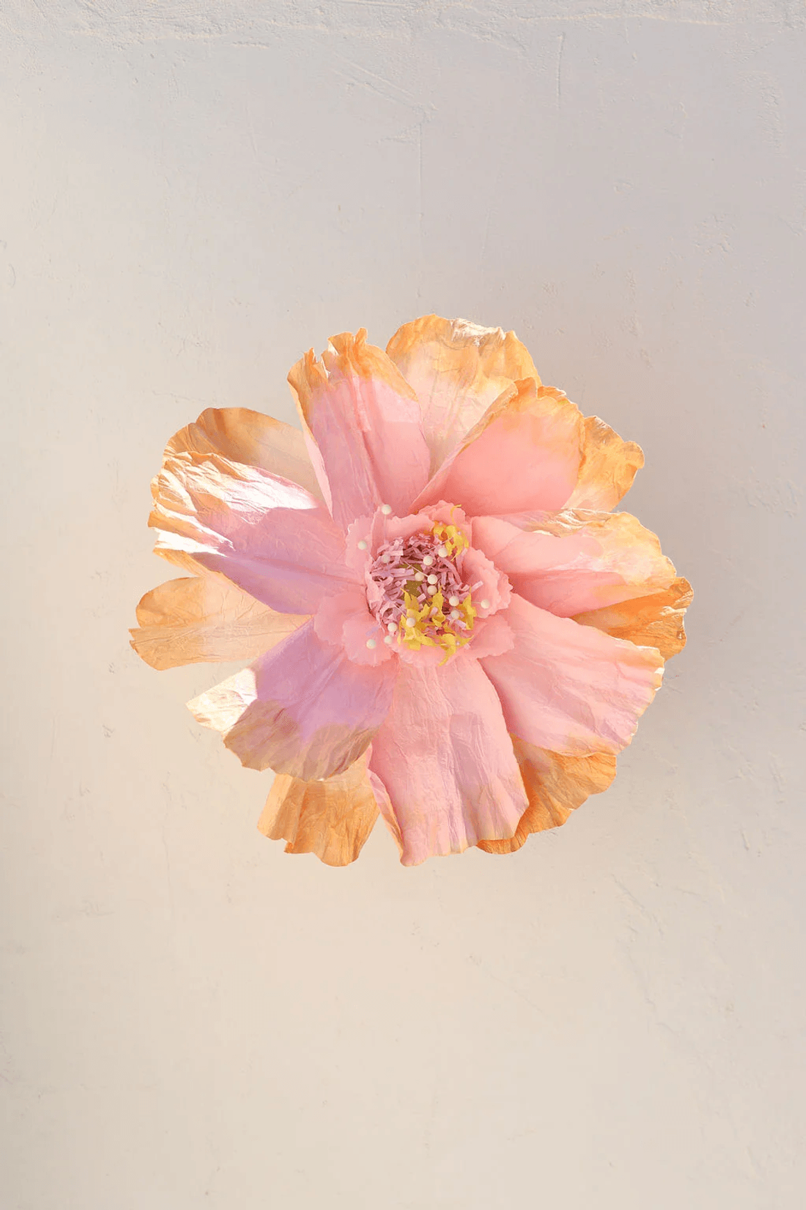 Two Toned Crepe Paper Flower
