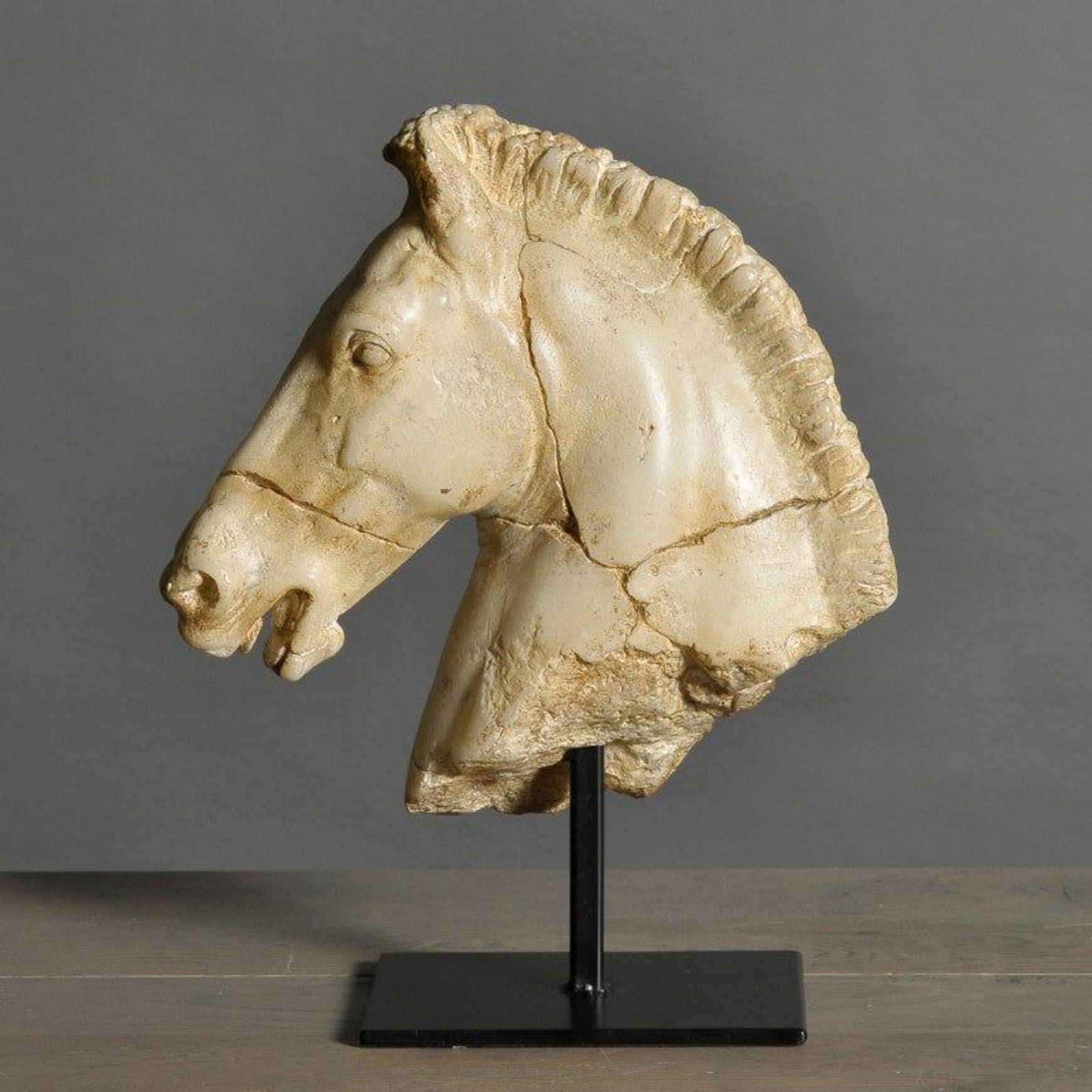 Monti's Horse Head