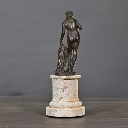 Venus with Apple