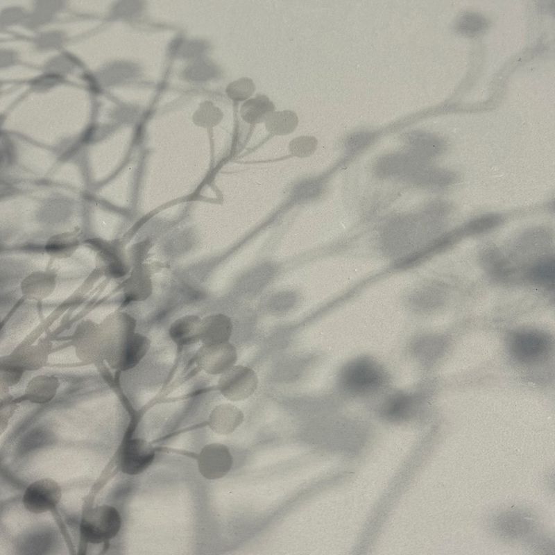 Polished Plaster | Apollo Grey