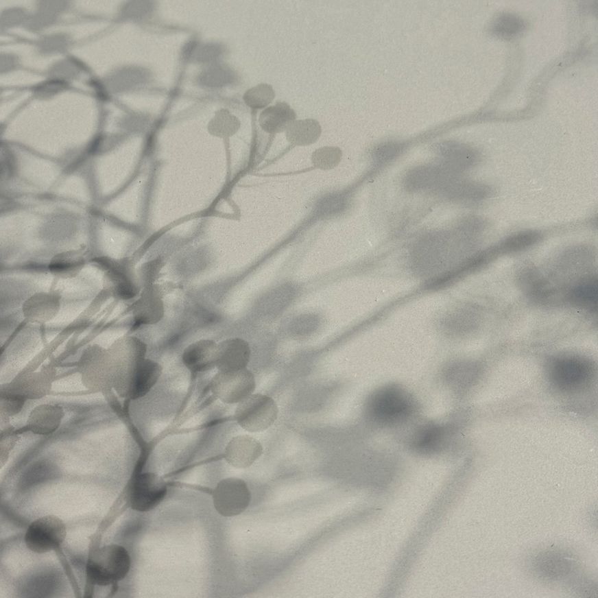 Polished Plaster | Apollo Grey