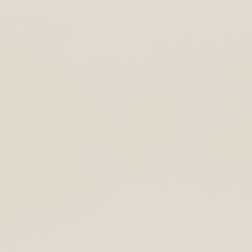 Polished Plaster | Palace White