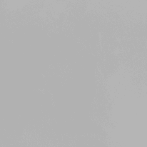 Mineral Venetian Plaster | Olympic Stone