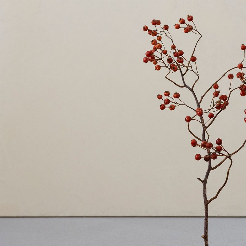 Polished Plaster | Palace White