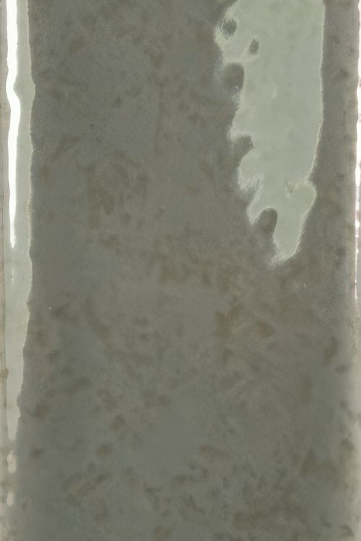 Skin Wall Tiles